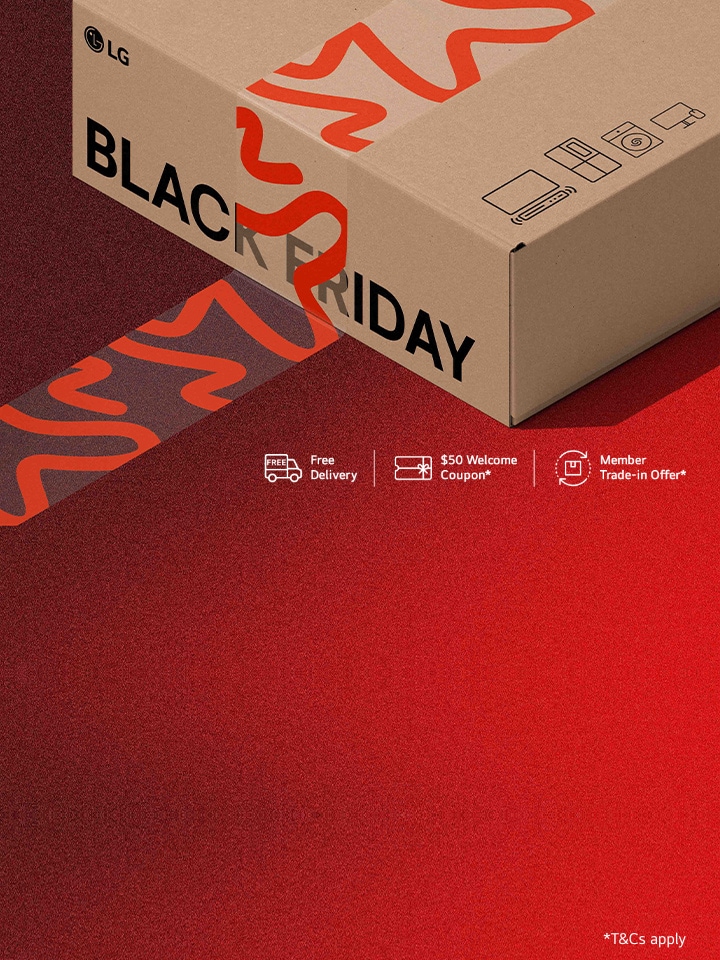 black friday