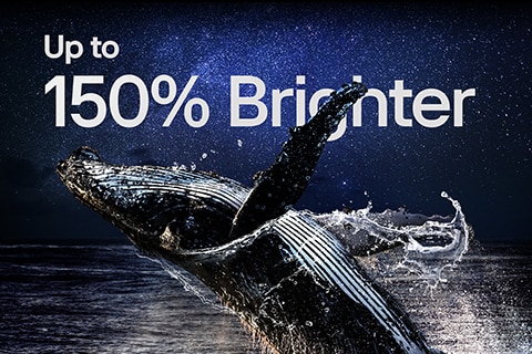Una ballena saltando del agua con un cielo nocturno estrellado. En la parte superior de la imagen de la ballena se puede leer la frase “hasta un 150 % más de brillo”.