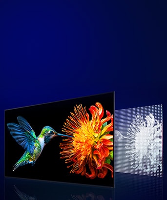 Eine Reihe von kabellosen LG TVs in Reih und Glied.