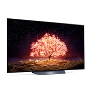 LG TV LG OLED B1 | 2021 | 77'' (195 cm) | UHD | α7 Gen4 AI 4K, LG OLED77B16LA