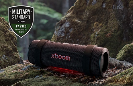 image xboom bounce 01