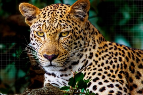 Doskonalszy obraz i dźwięk