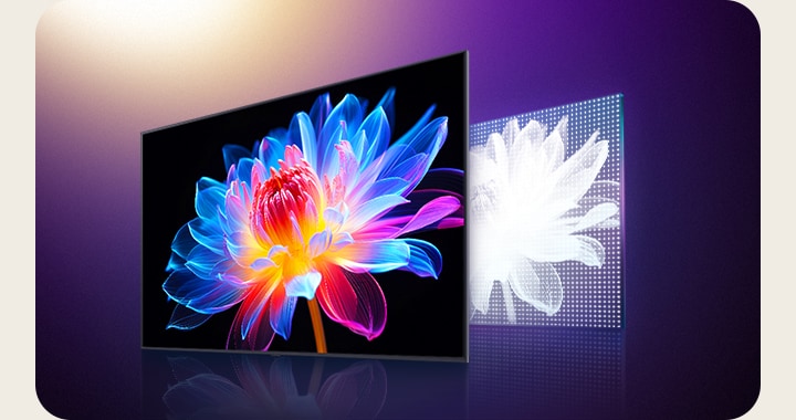 Sekwencja pokazująca, jak technologia MiniLED zapewnia lepszy obraz w porównaniu do standardowych diod LED. Ekran LG TV z trójwymiarowym holograficznym kwiatem na ciemnym tle. Za telewizorem znajduje się graficzne przedstawienie rozmieszczenia konwencjonalnych diod LED na ekranie. Diody są duże i nieliczne. Kwiat wygląda blado i szaro. Przejście do MiniLED, gdzie kwiat jest jaśniejszy, bardziej nasycony i kontrastowy. Grafika MiniLED pokazuje mniejsze diody LED w większej ilości na ekranie.