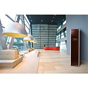 LG Szafa parowa LG Styler brązowa S3RERB, S3RERB