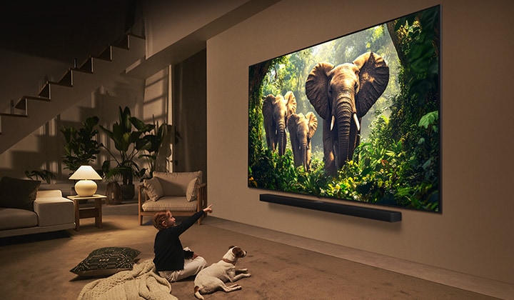 Duvara monte edilmiş LG QNED TV’nin önünde bir kız ve köpek oturuyor. Ekranda LG Soundbar’ın üzerinde dışarı doğru yürüyen üç fil görüntüleniyor.