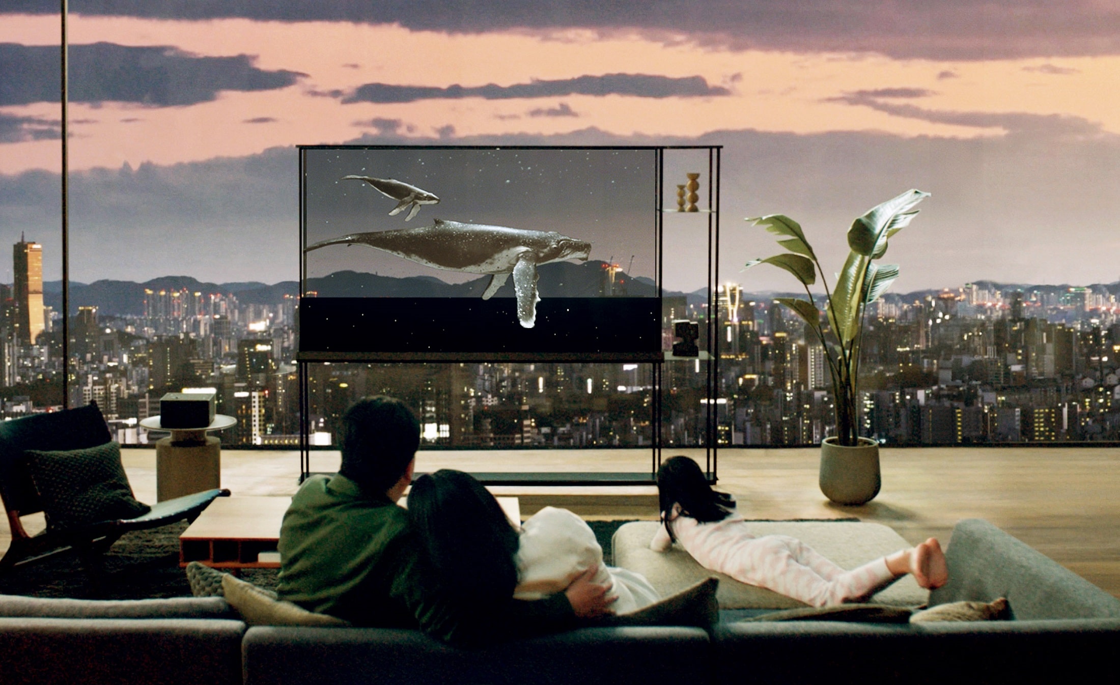 LG’s World-First Transparent and True Wireless 4K OLED TV Delivers New Screen Experience