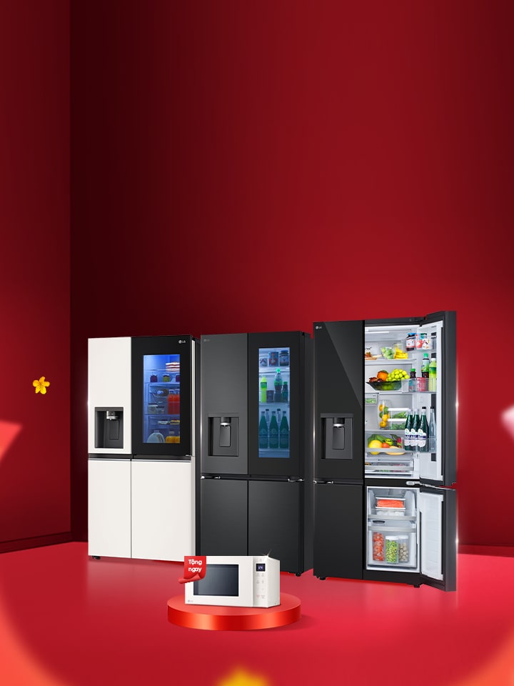 Ưu đãi tết - tủ lạnh LG