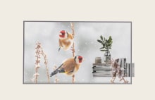 LG Transparent OLED 55EW5TP-M signage for creative display solutions