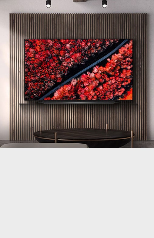 LG OLED TV C9