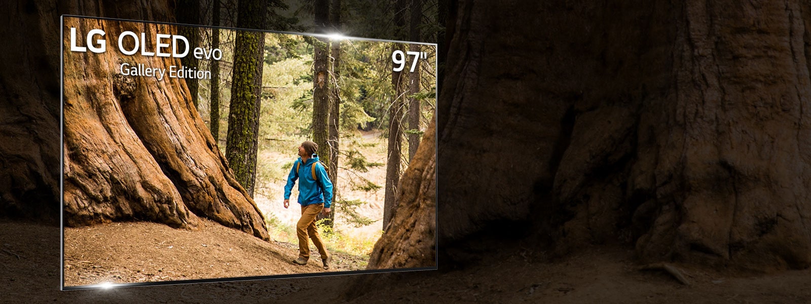 The Best Got Bigger. The World’s Largest OLED TV.