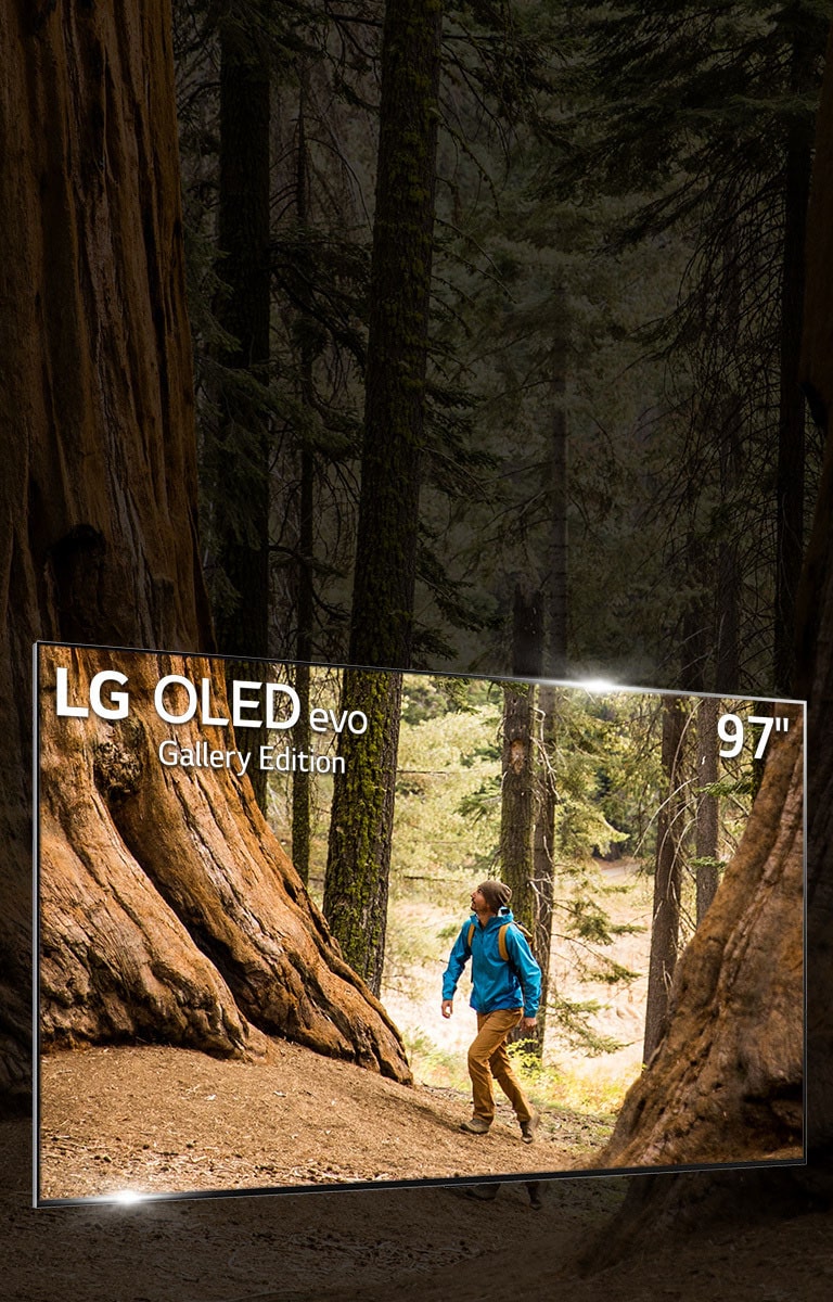 The Best Got Bigger. The World’s Largest OLED TV.