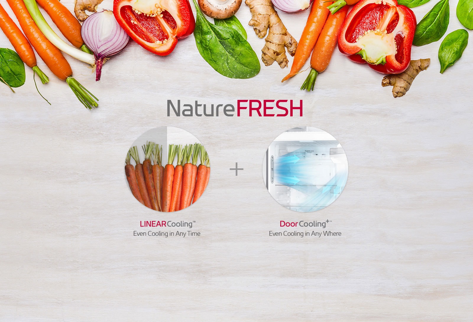 How to keep our foods fresher and longer?