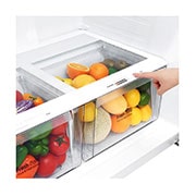 LG Top Mount Inverter Fridge 592L, White, GR-C842HBCU, GR-C842HBCU, thumbnail 5