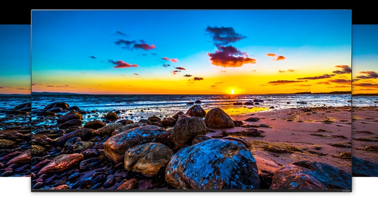 TV screen showing the wide view of nature