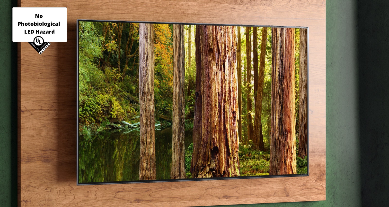 A living room with a wall-mounted TV screen showing a natural scene.