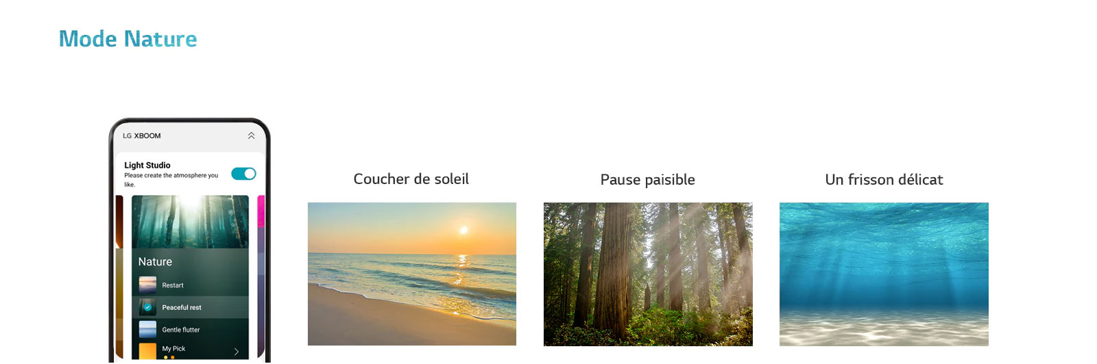 Image d’un téléphone portable avec l’écran APP allumé dans le mode Nature. Image d’une plage au coucher du soleil. Image d’une forêt ensoleillée. Image d’une lumière resplendissante sous une mer claire.