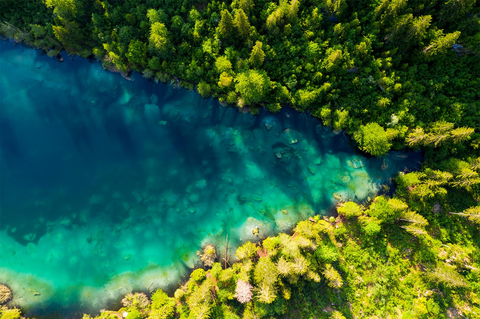 Cette image représente une forêt naturelle dense avec une rivière qui s’écoule au milieu, vue du dessus. Voilà une image qui décrit bien l’HD.