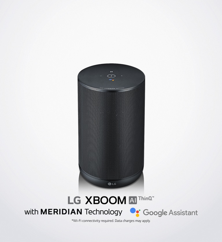lg google home speaker