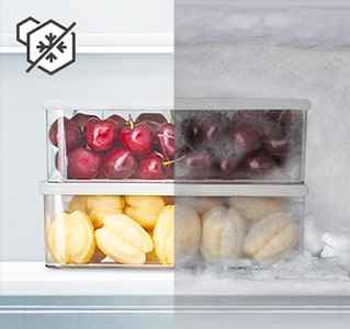 Comparaison des contenants de fruits surgelés avec et sans givre.