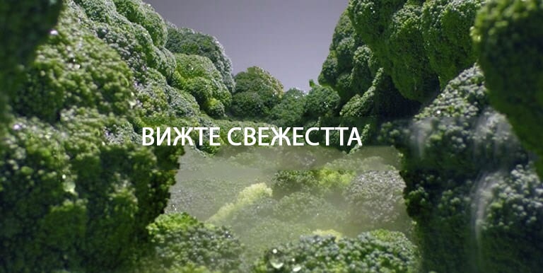 ВИЖТЕ СВЕЖЕСТТА