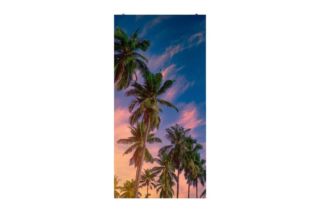 LG Pantalla LED para exterior ''Ambientes de Playa'', Vista frontal con imagen de relleno, GNEA100-GN