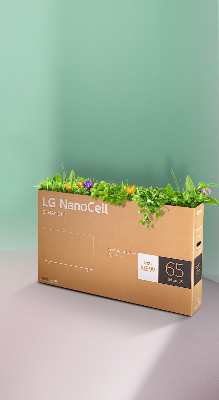 Boîte recyclable du téléviseur LG NanoCell avec des fleurs et des plantes qui poussent du haut de la boîte.
