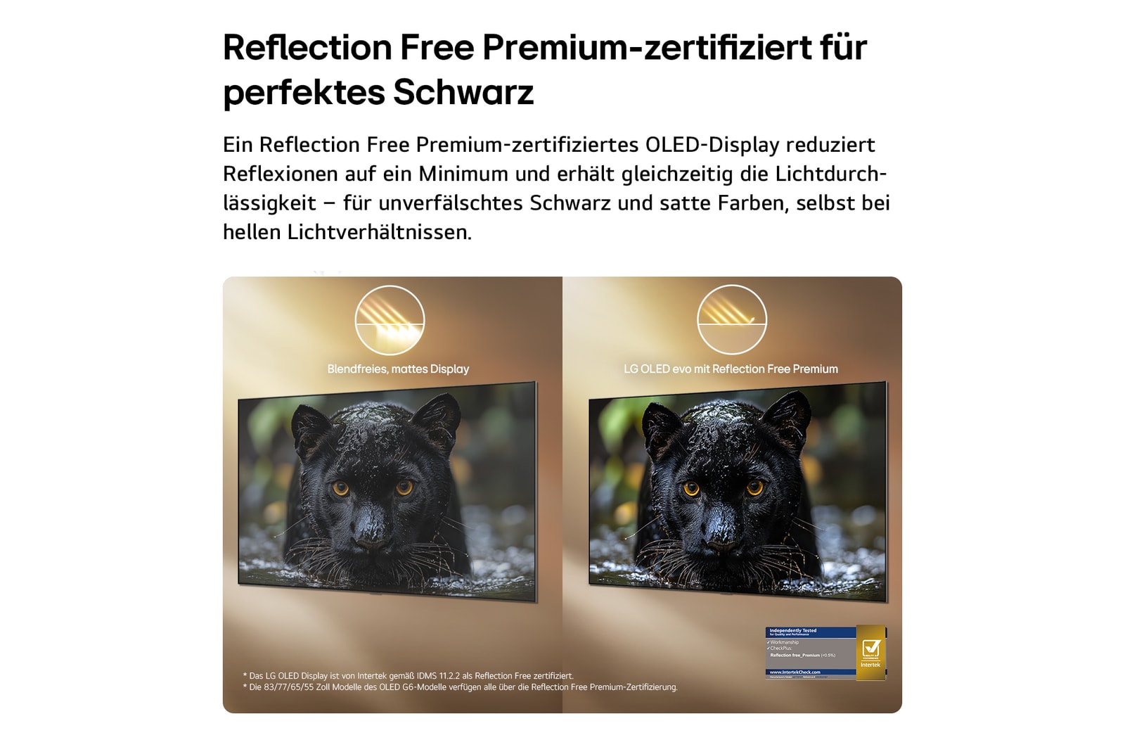 Das Emblem „CES Innovation Awards Honoree 2026“ in der Kategorie „Künstliche Intelligenz“ würdigt Multi AI Search mit Google Gemini und Microsoft Copilot.