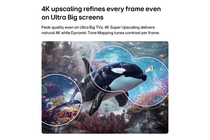 Ein LG QNED evo AI QNED70 Mini LED mit 4K Super Upscaling und Dynamic Tone Mapping zeigt eine Unterwasserszene mit einem schwimmenden Orca, bei der KI jedes Einzelbild erkennt und auf 4K-Auflösung hochskaliert.
