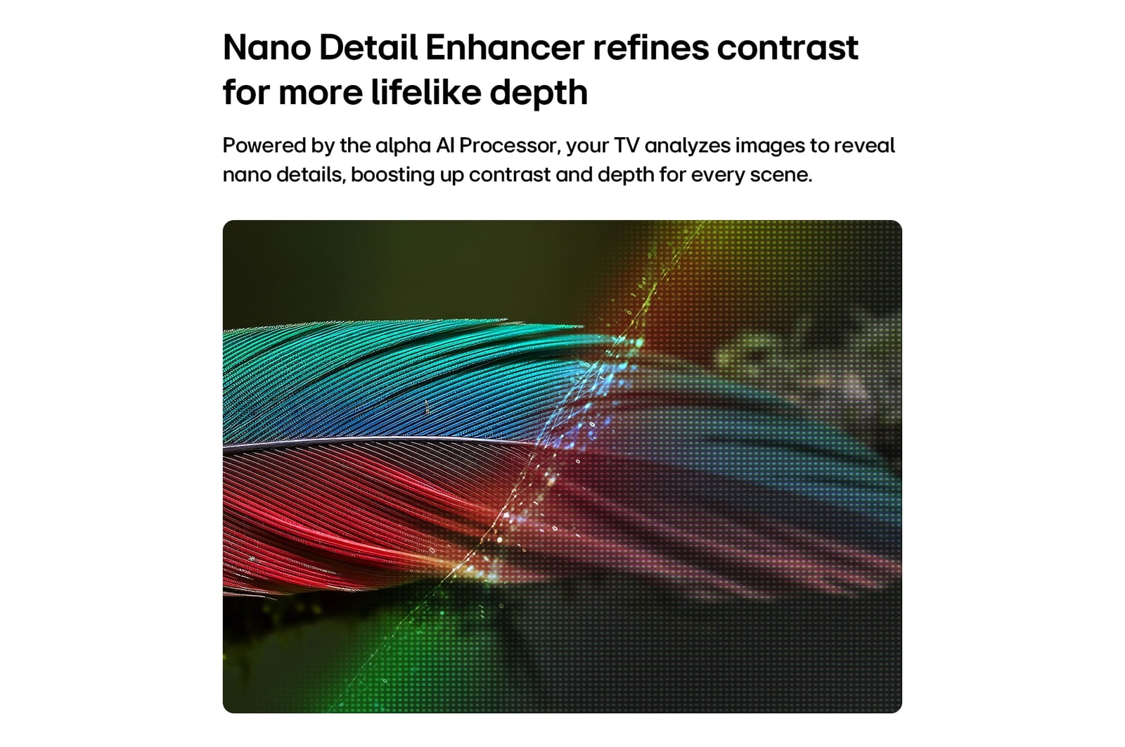 LG NANO 4K UHD AI NU85 with Nano Detail Enhancer shows a feather image, powered by the alpha AI Processor that detects fine textures to enhance contrast and depth and deliver a clearer, more three-dimensional 4K picture.
