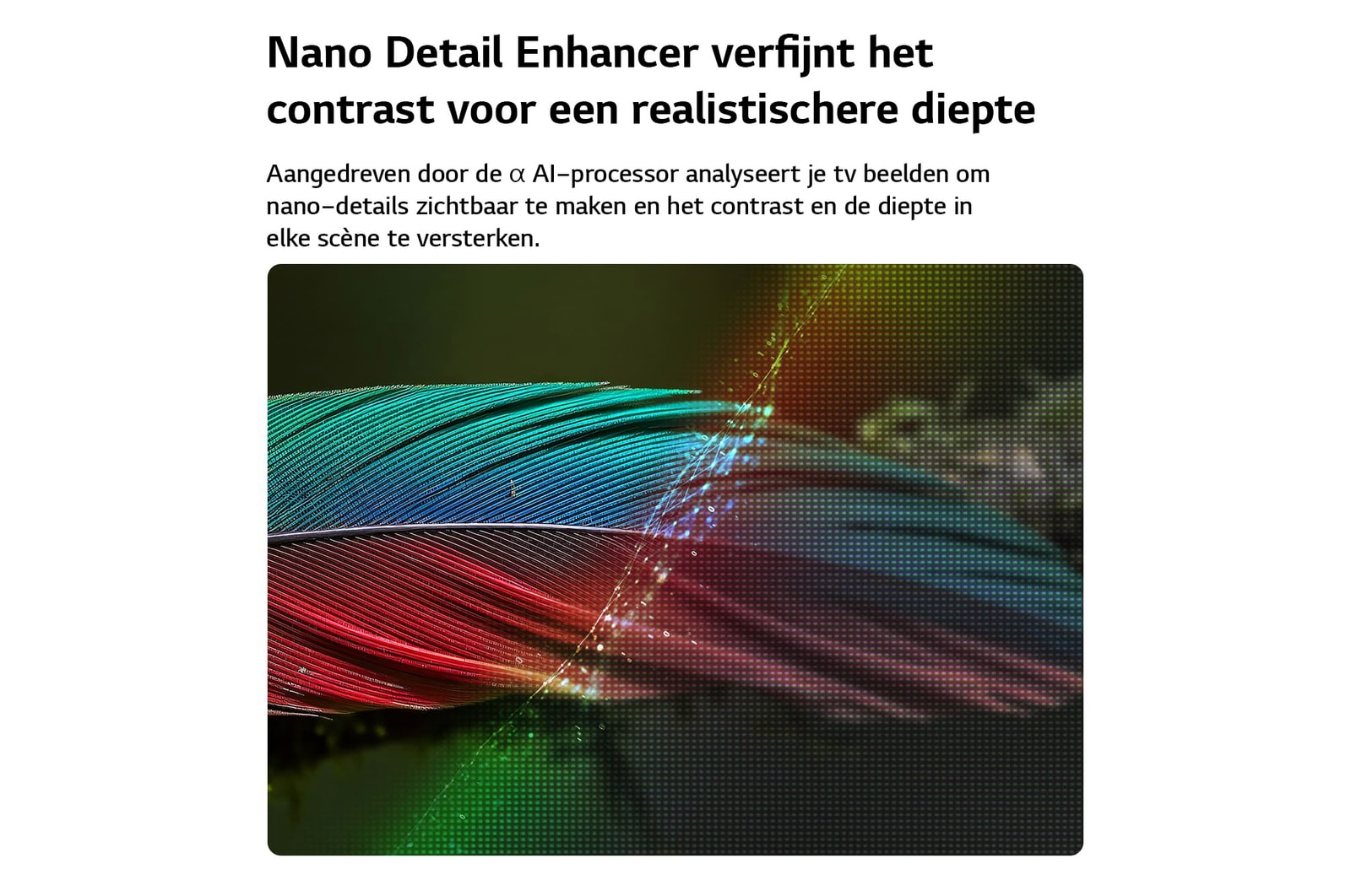 Een LG NANO 4K UHD AI NU80 met Nano Detail Enhancer toont een afbeelding van een veer, aangedreven door de alpha AI-processor die fijne texturen detecteert om het contrast en de diepte te verbeteren en een duidelijker, meer driedimensionaal 4K-beeld te leveren.