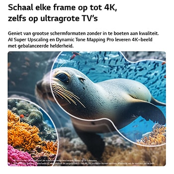 Een LG NANO 4K UHD AI NU80 met 4K Super Upscaling en Dynamic Tone Mapping toont een onderwaterscène van een zeeleeuw, terwijl AI elk frame herkent en opschaalt tot een resolutie van 4K.
