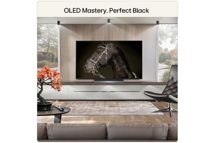 48 Inch LG OLED evo AI C6 4K Smart TV 2026