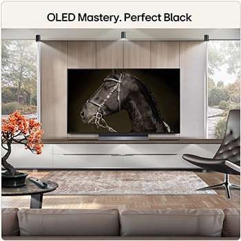 48 Inch LG OLED evo AI C6 4K Smart TV 2026
