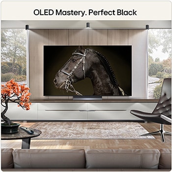 55 Inch LG OLED evo AI C6 4K Smart TV 2026