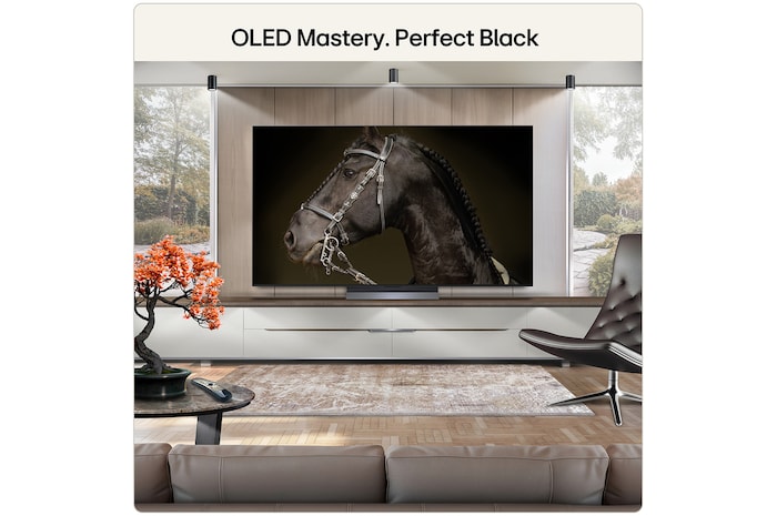 oled mastery. perfect black