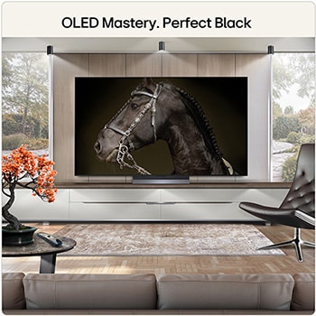 65 Inch LG OLED evo AI C6 4K Smart TV 2026