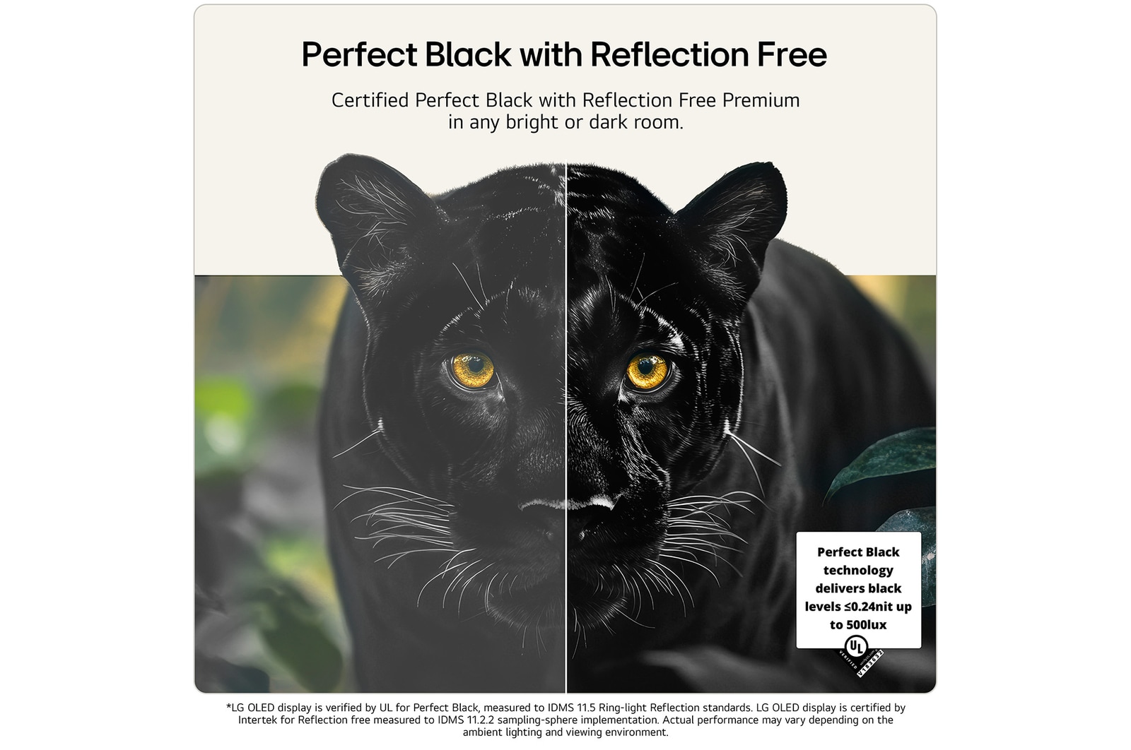 65 Inch LG OLED evo AI G6 4K Smart TV 2026