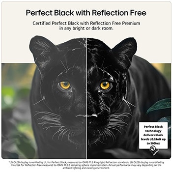 65 Inch LG OLED evo AI G6 4K Smart TV 2026