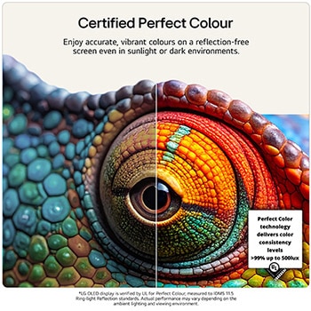 65 Inch LG OLED evo AI G6 4K Smart TV 2026