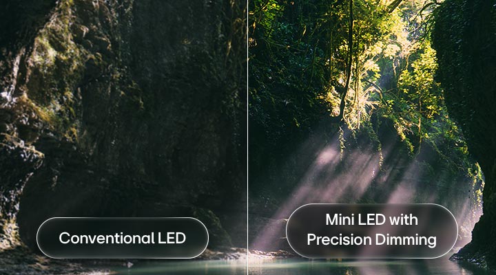 LG QNED evo AI QNED85 Mini LED highlights Mini LED with Precision Dimming in a split forest scene, comparing conventional LED with deeper blacks and more refined contrast as sunlight filters through the trees for greater clarity and depth.
