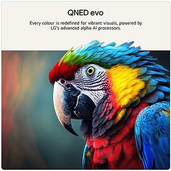 LG 50 inch LG QNED evo AI QNED87 Mini LED 4K Smart TV 2026, 50QNED87B6A