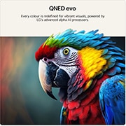 65 inch LG QNED evo AI QNED86 Mini LED 4K Smart TV 2026