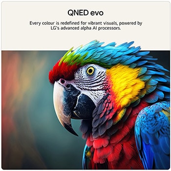 75 inch LG QNED evo AI QNED87 Mini LED 4K Smart TV 2026