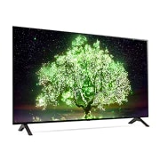 LG 48“ LG OLED TV | OLED48A19LA, OLED48A19LA