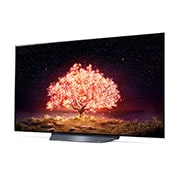 LG 55" LG 4K OLED TV B1 | OLED55B19LA, OLED55B19LA