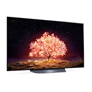 LG 55" LG 4K OLED TV B1 | OLED55B19LA, OLED55B19LA