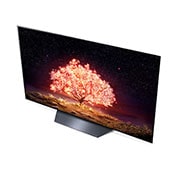 LG 55" LG 4K OLED TV B1 | OLED55B19LA, OLED55B19LA