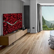 LG 55“ LG OLED TV, OLED55BX9LB