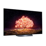 LG 77“ LG OLED TV | OLED77B19LA, OLED77B19LA