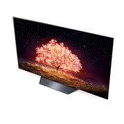 LG 77“ LG OLED TV | OLED77B19LA, OLED77B19LA